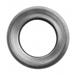 iPhone 6 Plus Rear Lens Cover - Silver